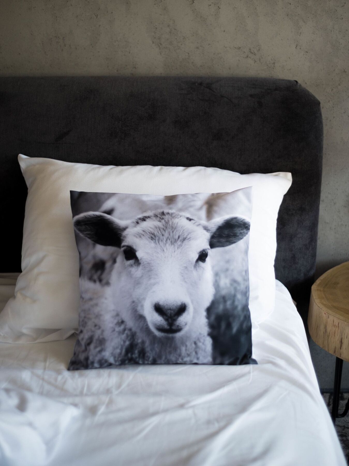 Biala Owca Bed & Breakfast Zakopane